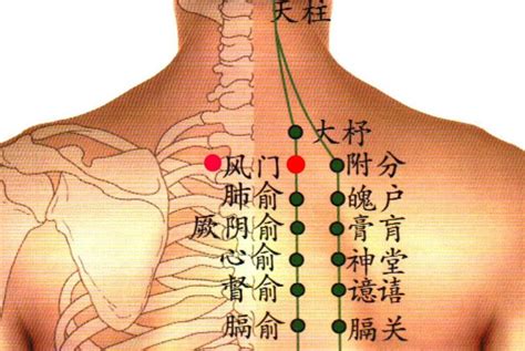 氣穴|氣穴 (穴位名)